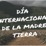 diadelatierrraweb